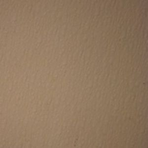 Meet your Posher, Alan